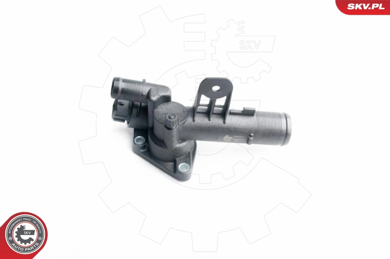 20SKV021