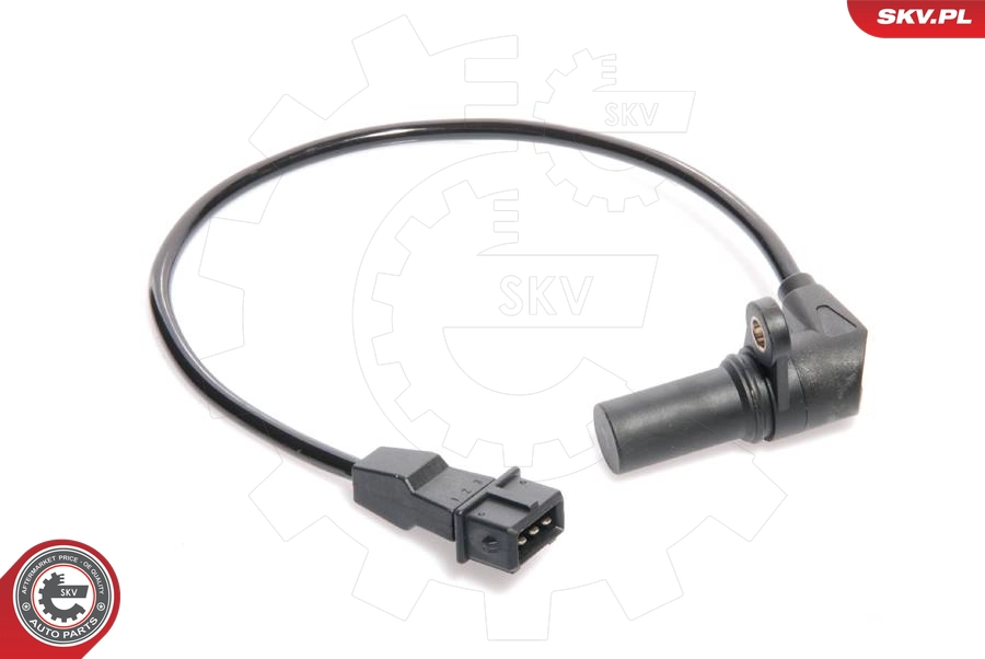 17SKV219