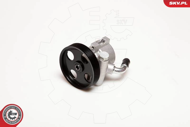 10SKV025