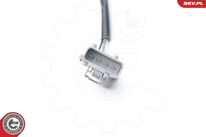 09SKV691