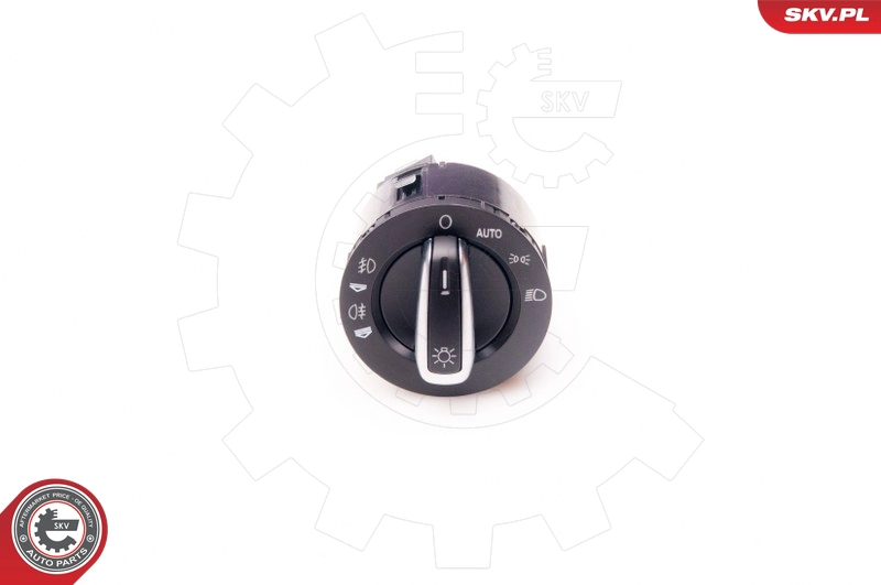 36SKV019