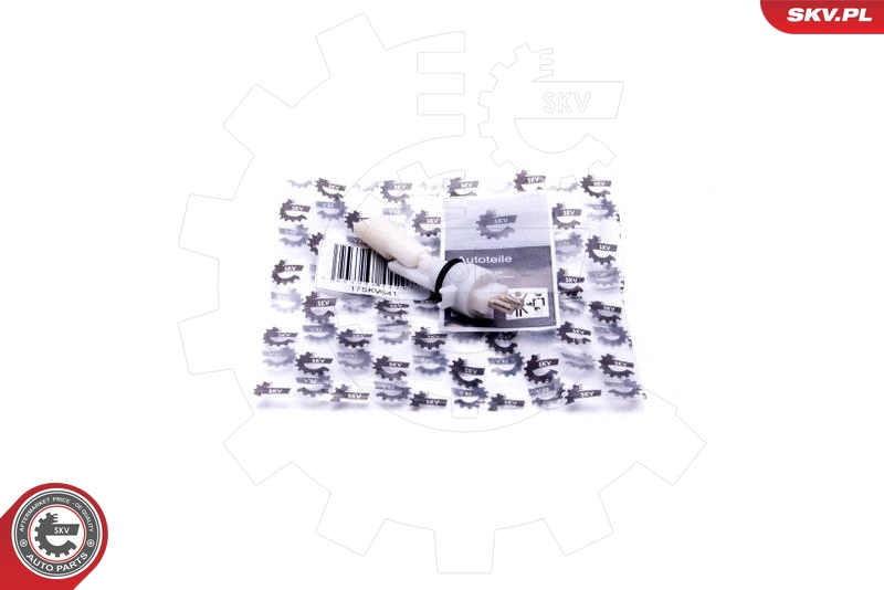 17SKV641