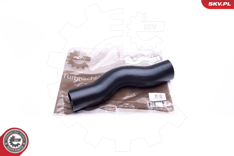 43SKV021