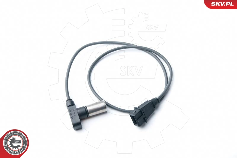 17SKV263