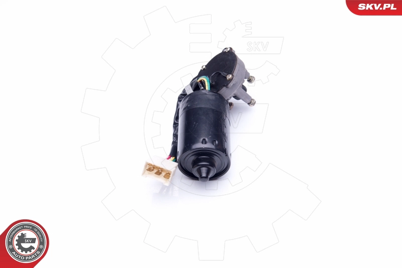 19SKV028