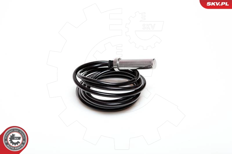 06SKV149