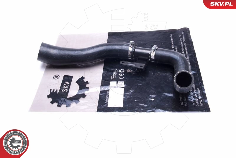 43SKV061