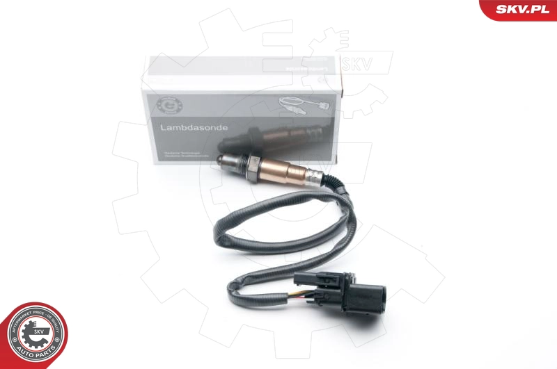 09SKV859