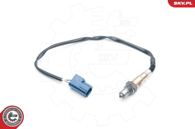 09SKV693