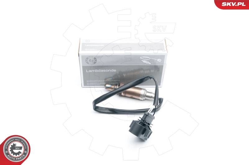 09SKV553