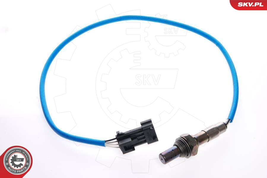 09SKV042