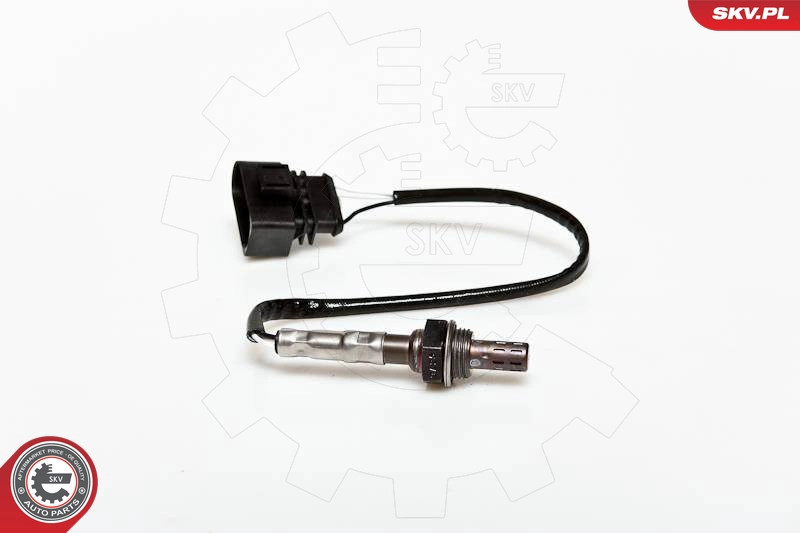 09SKV020