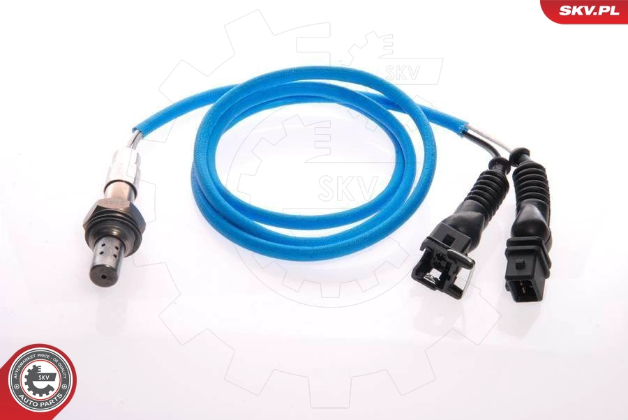 09SKV025