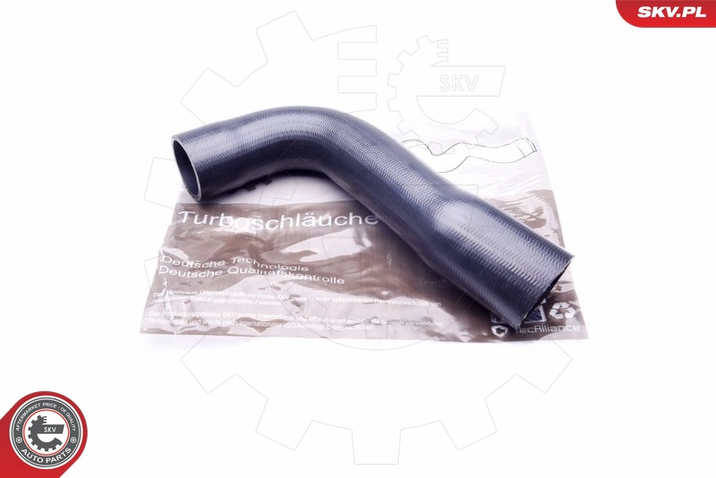 43SKV081
