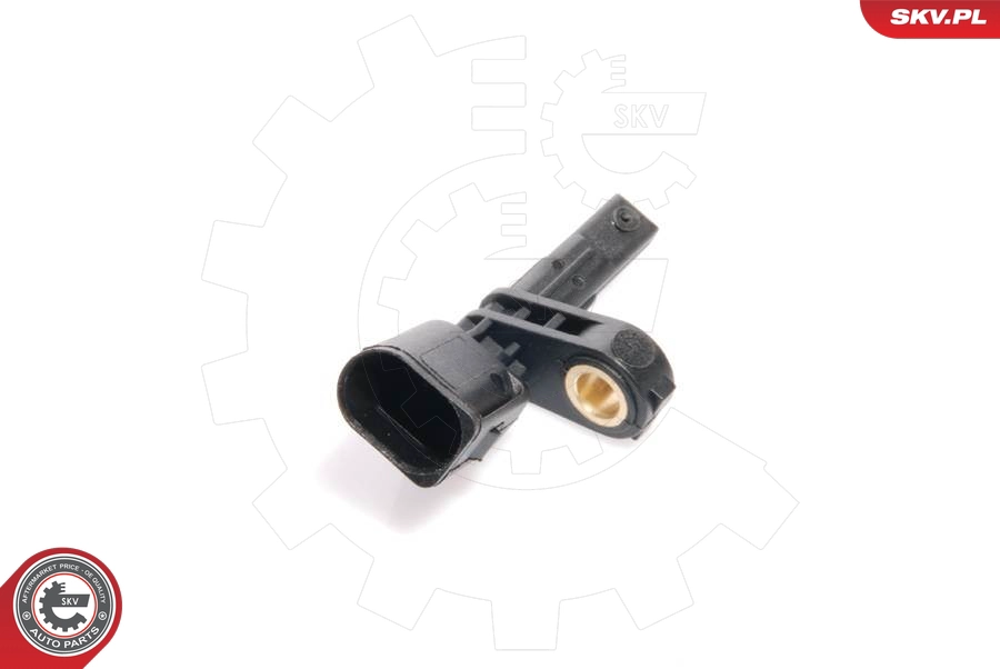 06SKV028
