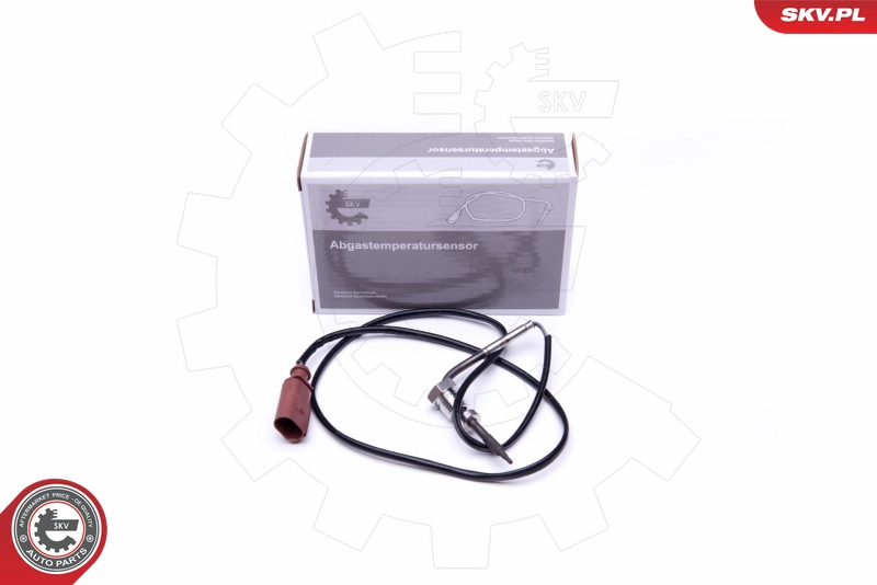 30SKV302
