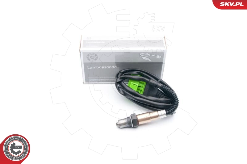 09SKV646