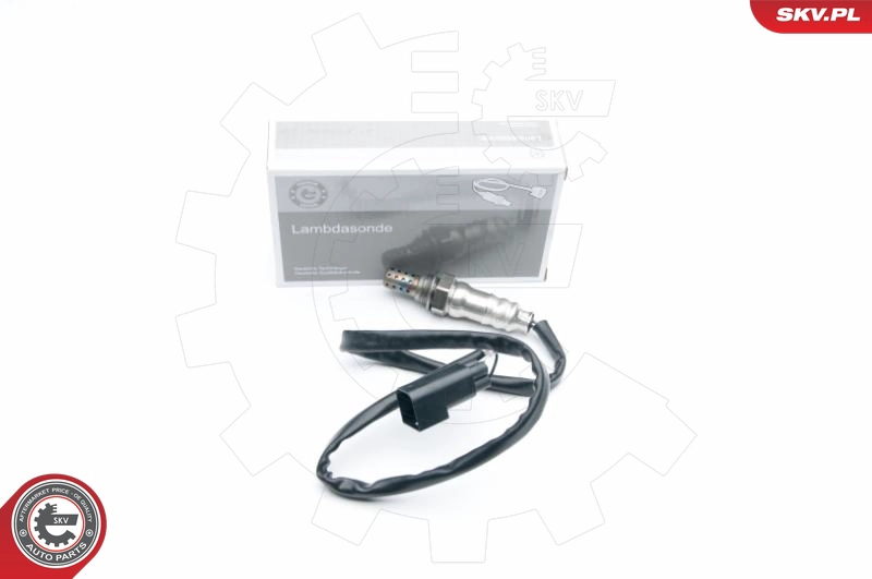 09SKV555