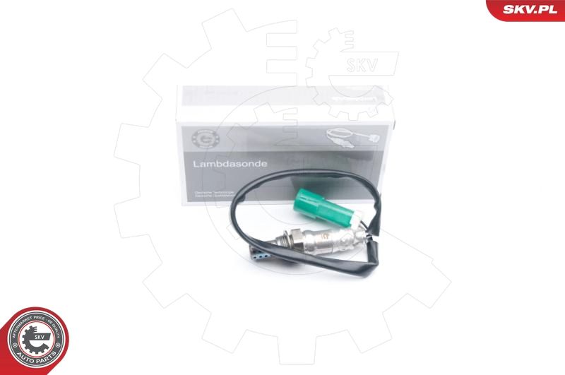 09SKV572