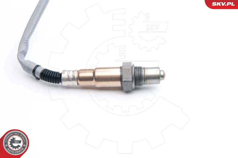 09SKV558