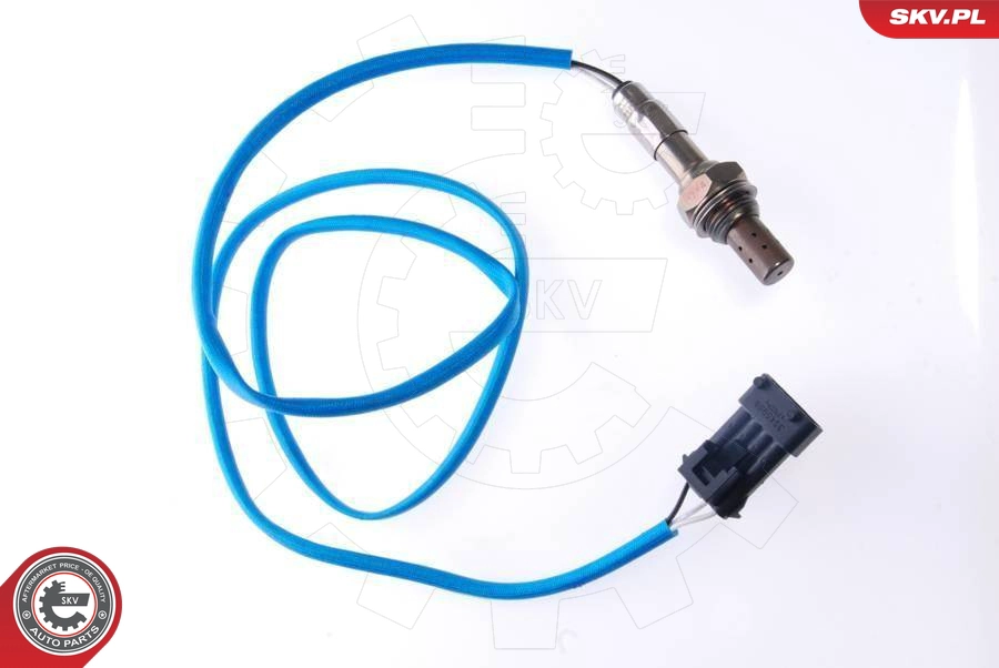 09SKV052