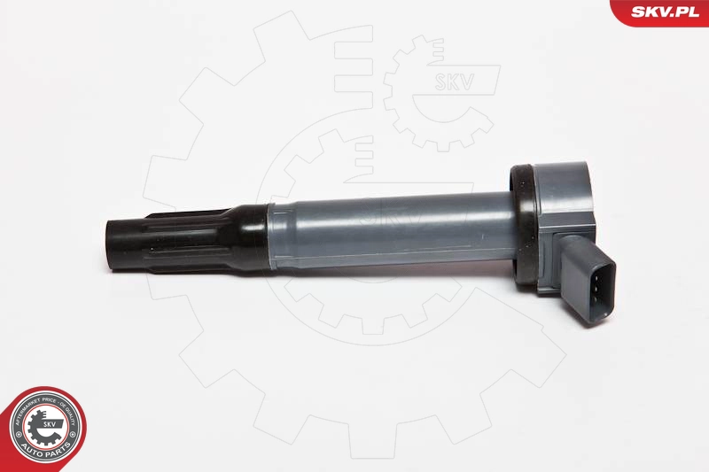 03SKV197