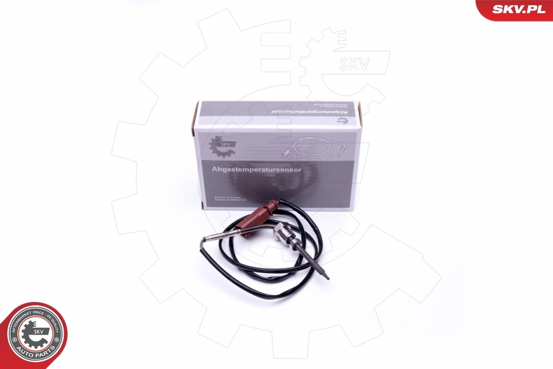 30SKV301