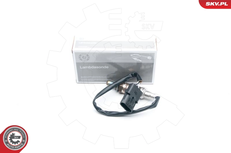 09SKV533