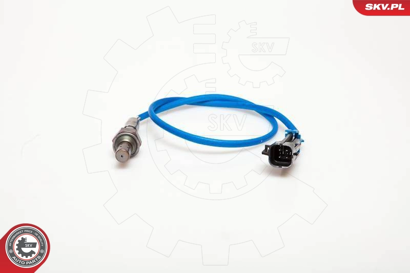 09SKV067