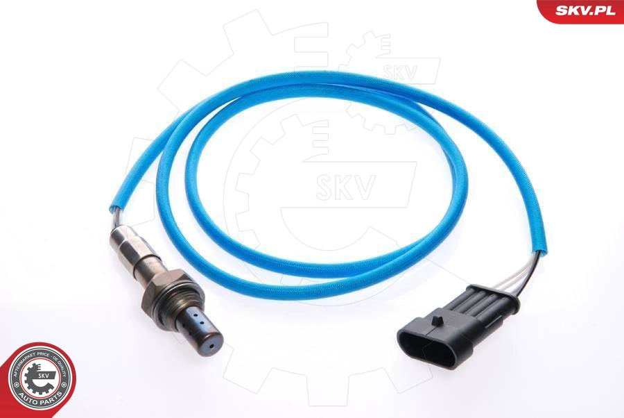 09SKV032
