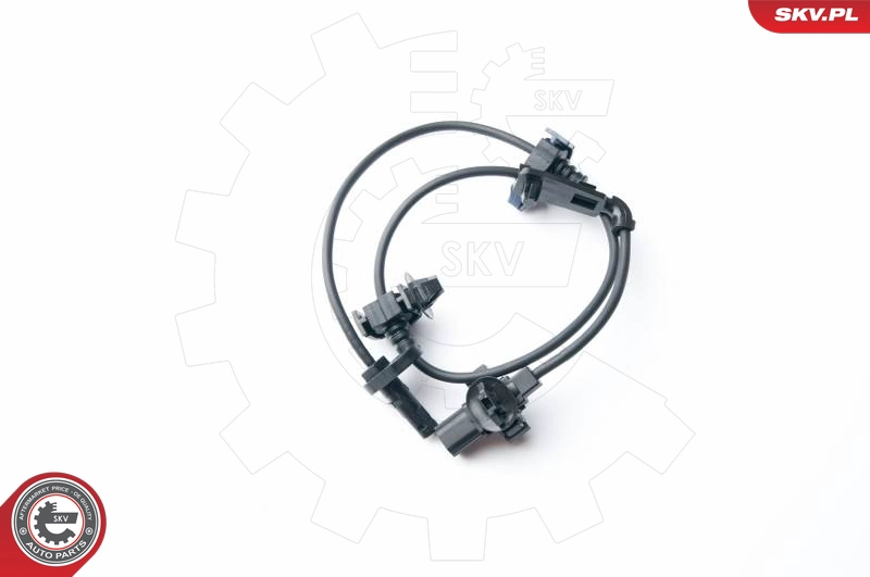 06SKV224