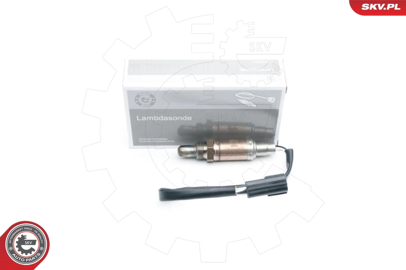 09SKV565