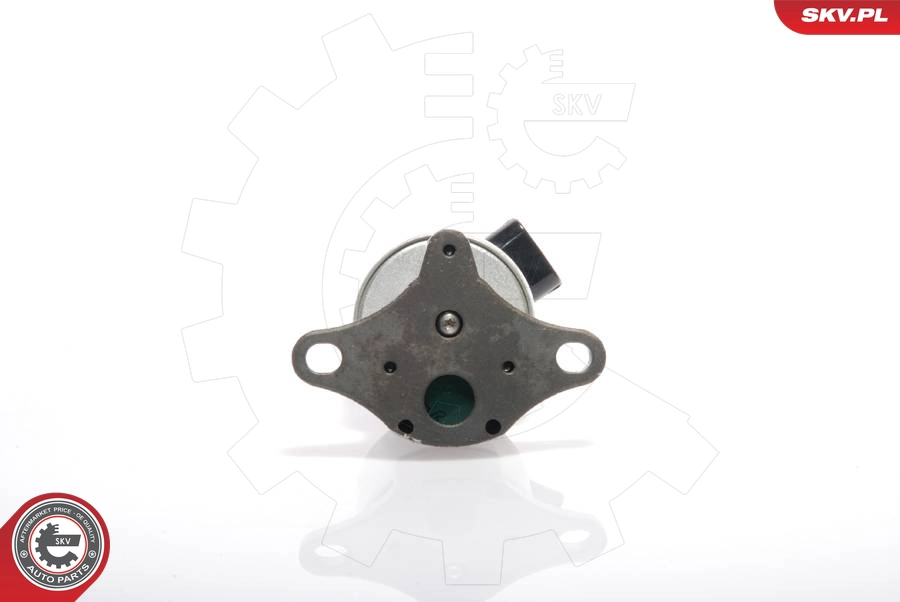 14SKV017