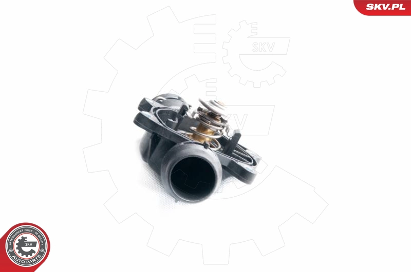 20SKV027