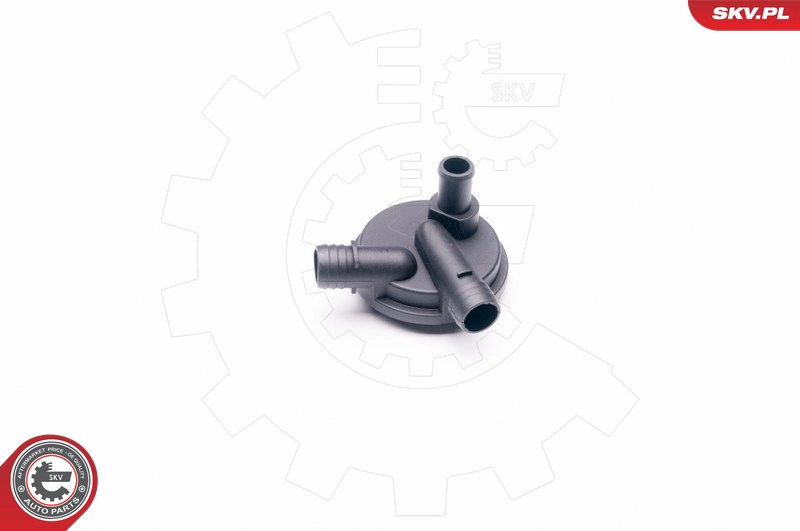 31SKV013