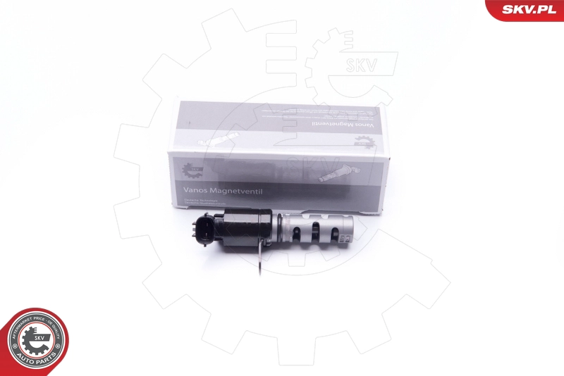 39SKV017