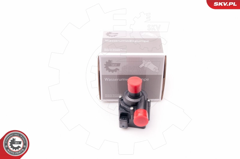 22SKV021