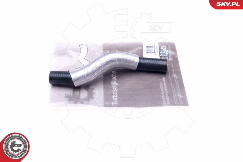 43SKV067