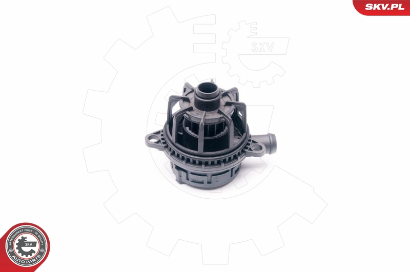31SKV017