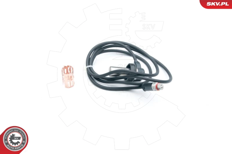 06SKV294