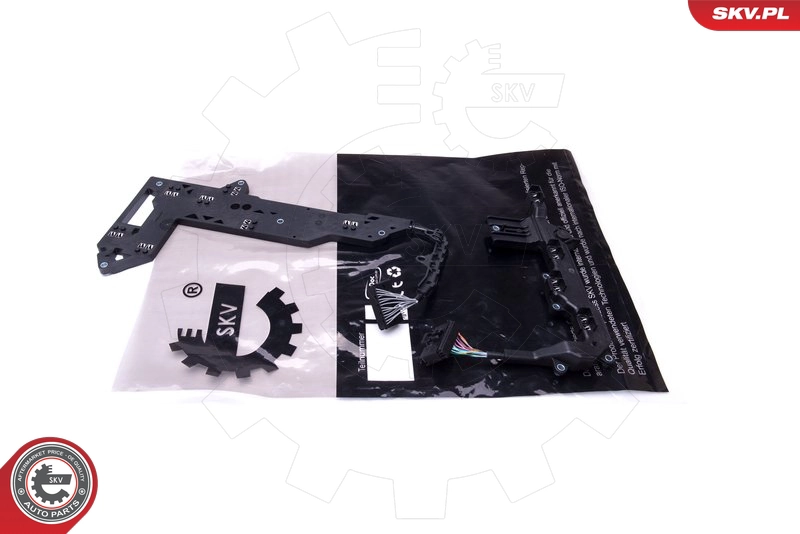 96SKV065