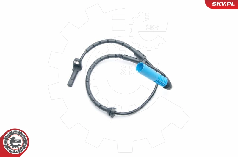 06SKV317