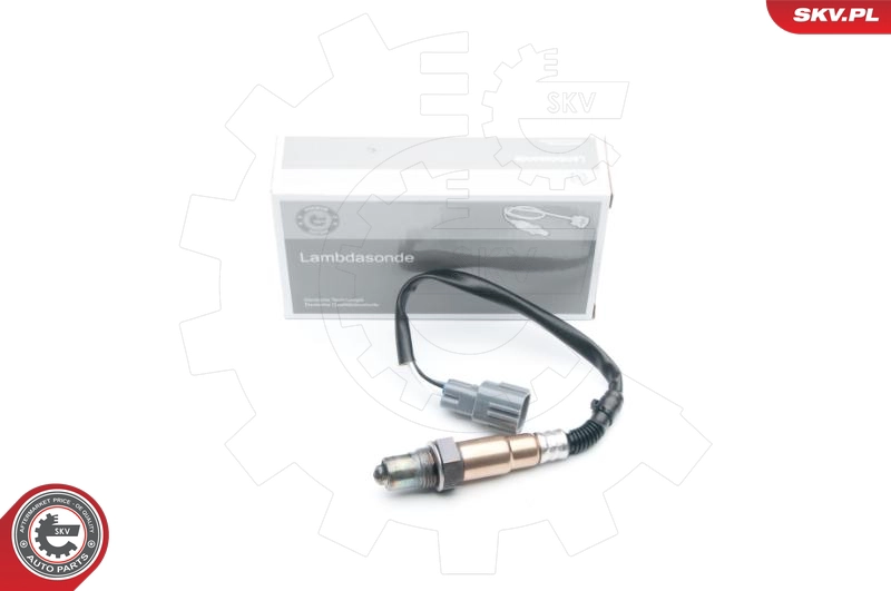 09SKV585