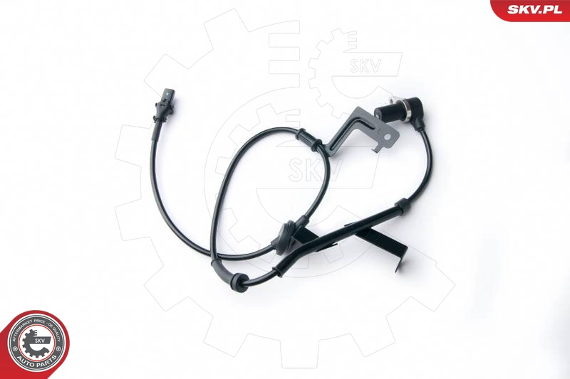06SKV253