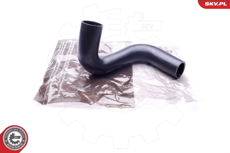 43SKV065