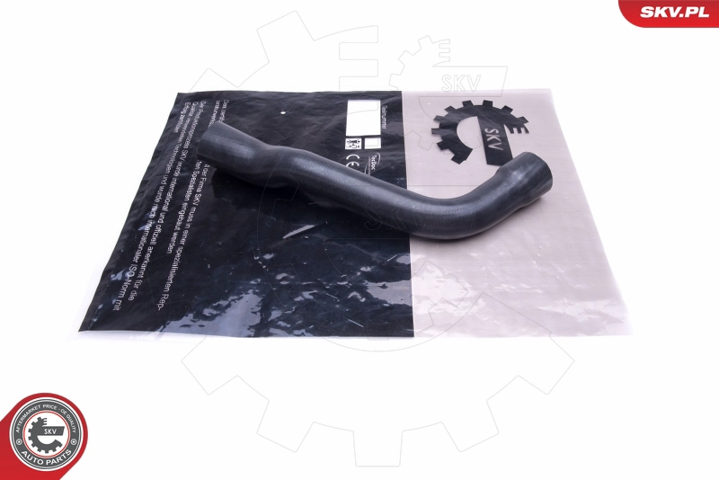 96SKV081
