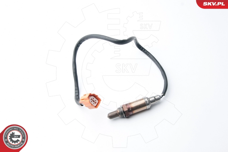 09SKV087