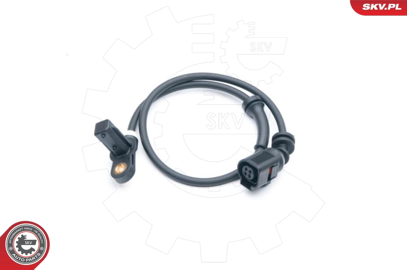 06SKV275