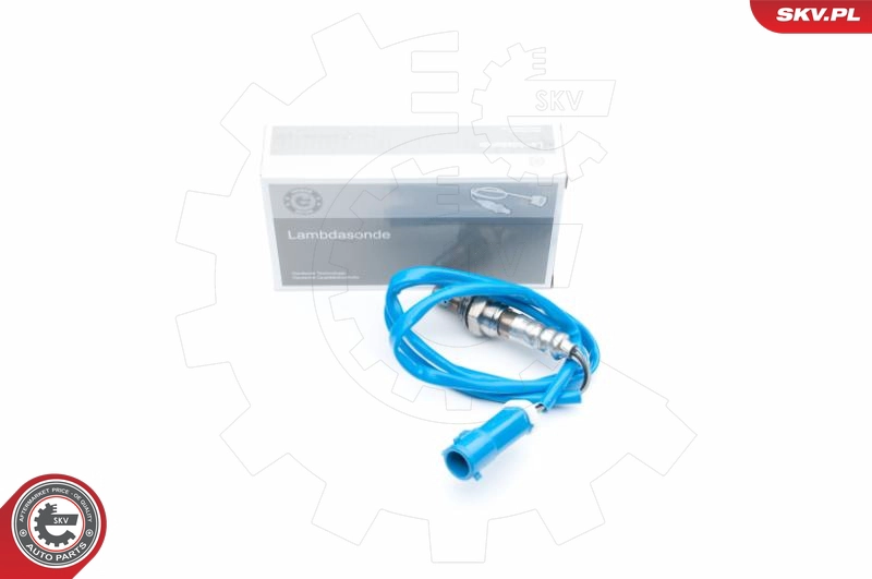 09SKV576
