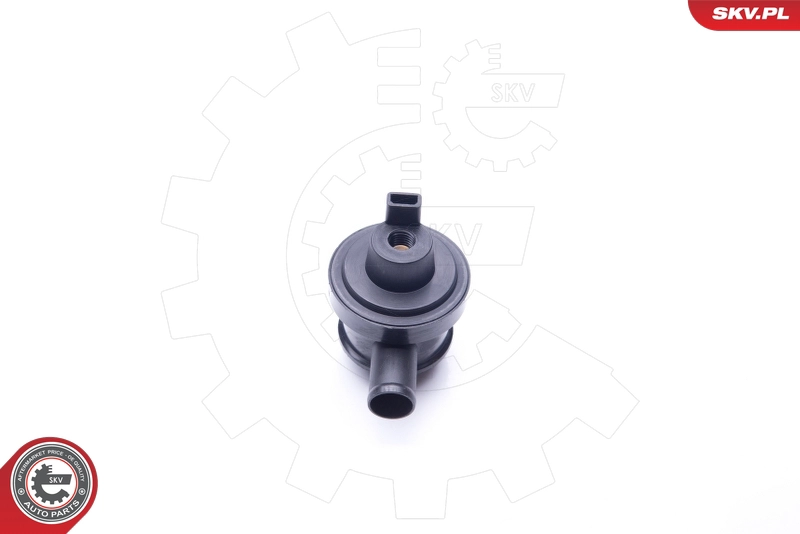31SKV096